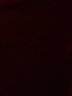 Adrianna Papell Red Red Velvet One Shoulder Gown Sale