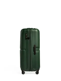 Antler Large Single Stripe Luggage Green Discount