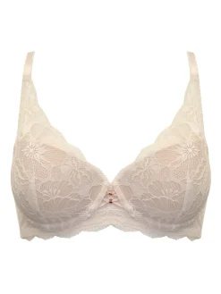 Pour Moi Padded Atelier Lace Underwired Bra Cream Outlet