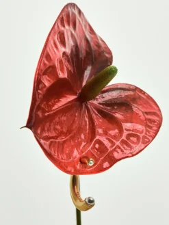 Reiss Gold Anais Tone Pearl Earrings New