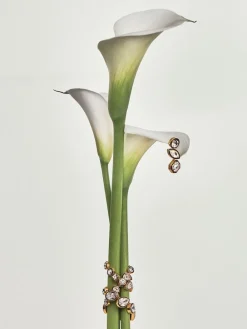 Reiss Gold Crista Crystal Drop Earrings Outlet