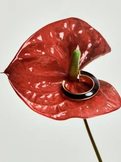 Reiss Gold Thalia Tone Twist Enamel Hoop Earrings Best